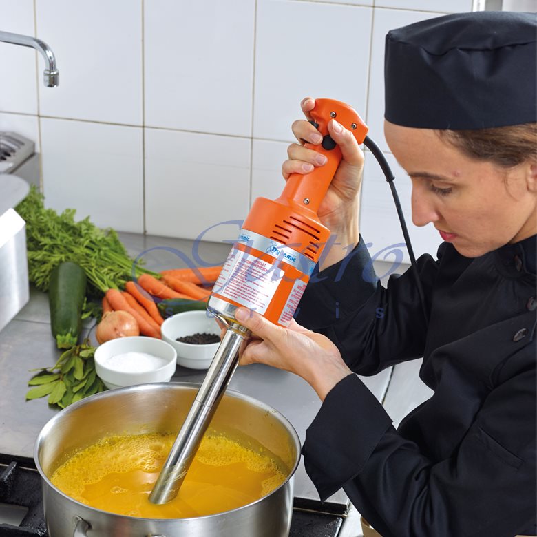 Ponorný mixer JUNIOR DMX 225 Blender